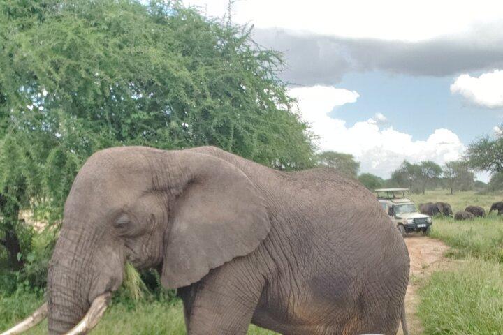 Ngorongoro Crater 3 Day Private Tour