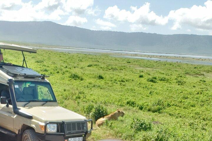 Ngorongoro Crater 3 Day Private Tour