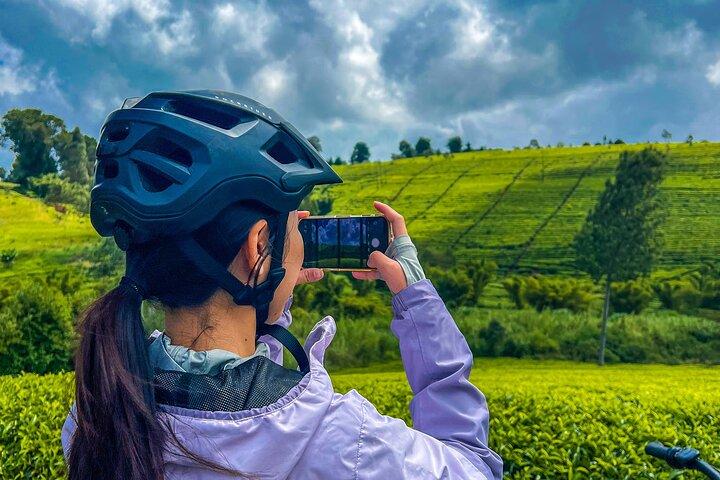 Tigoni Electric Bike Tours