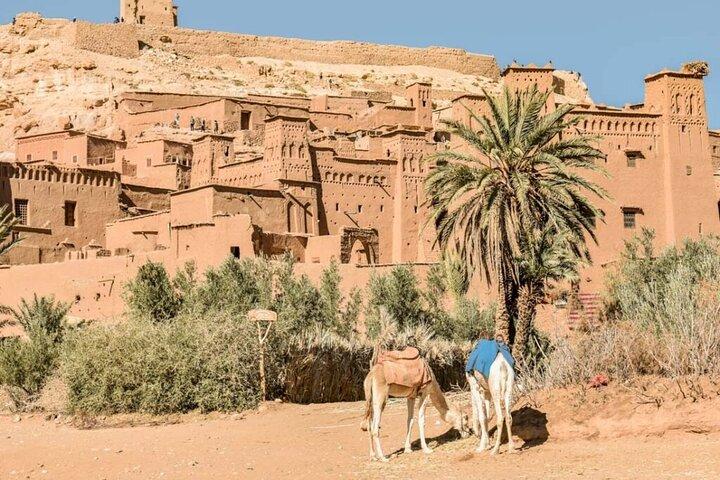 Marrakech to Ait ben haddou & Ouarzazate day trip