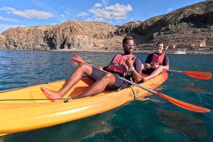 Kayaking in Palm Mar with Dolphin and Turtle Watching