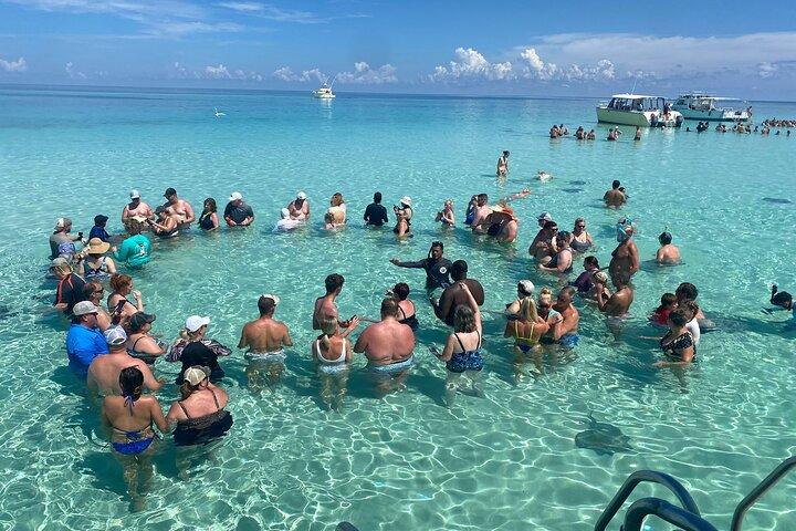 Cayman Best Stingray City Reef Snorkel and Starfish Point Tour