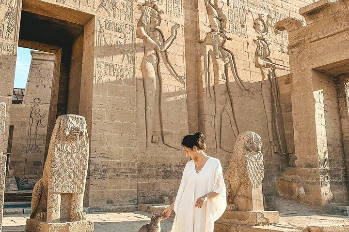 Private Return Transfer from Luxor to Aswan’s Highlights