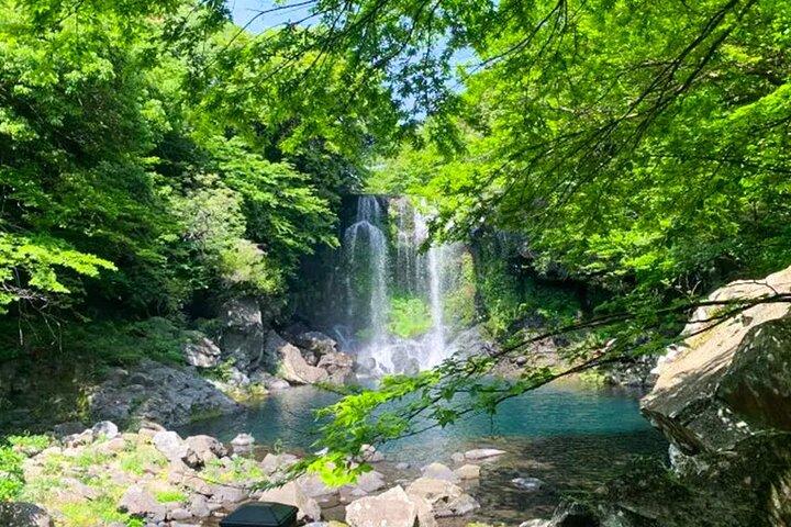 Jeju South Scenic Tour: Hallasan Trail Camellia Hill & Waterfalls
