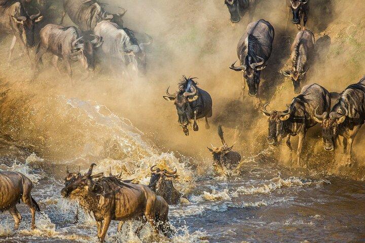 8 Day Serengeti Adventure