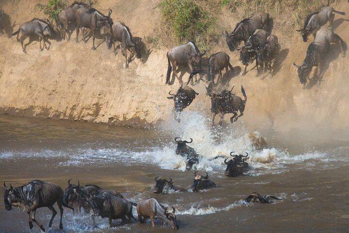 9 Day Kenya Family Adventure