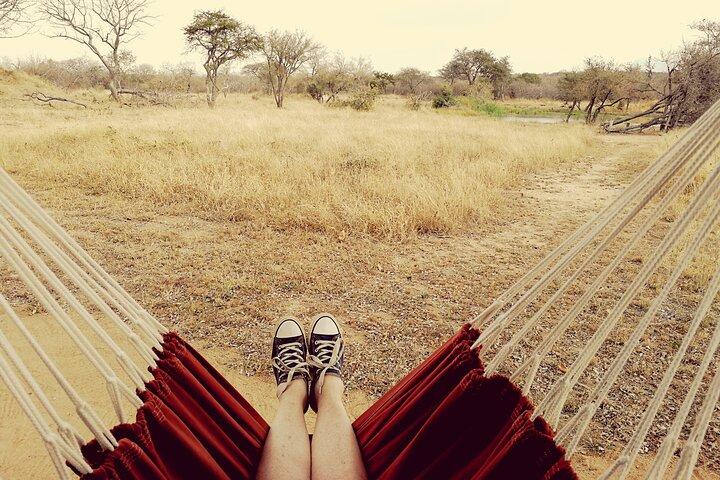 8 Day Cultural And Wildlife Immersion in Tanzania