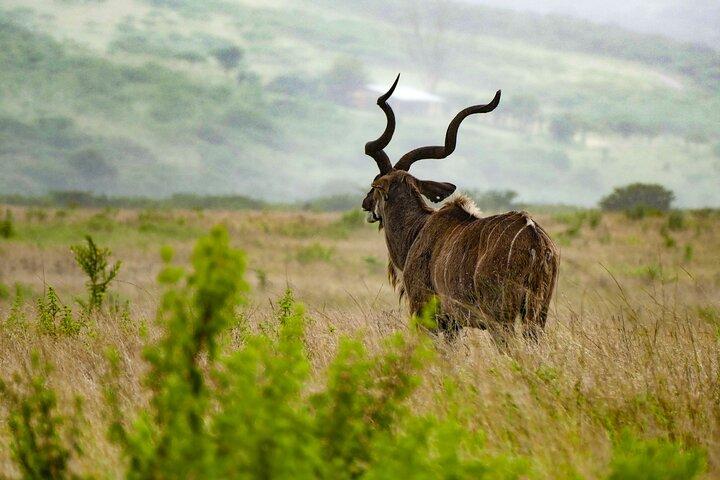 8 Day Cultural And Wildlife Immersion in Tanzania