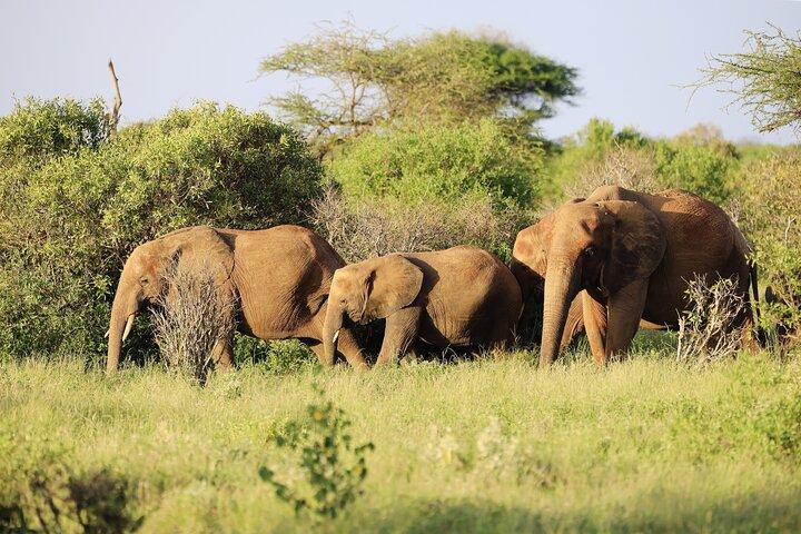 9 Day Kenya Family Adventure