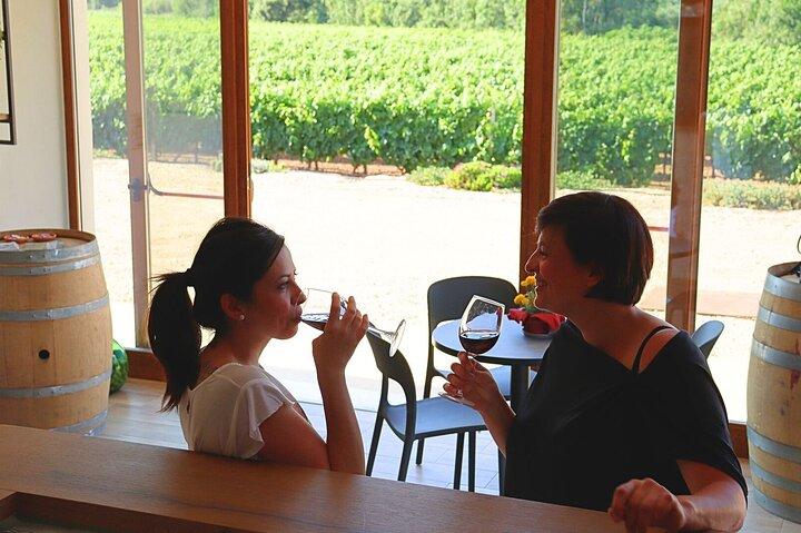 Alghero: guided tour of the winery with wine tasting