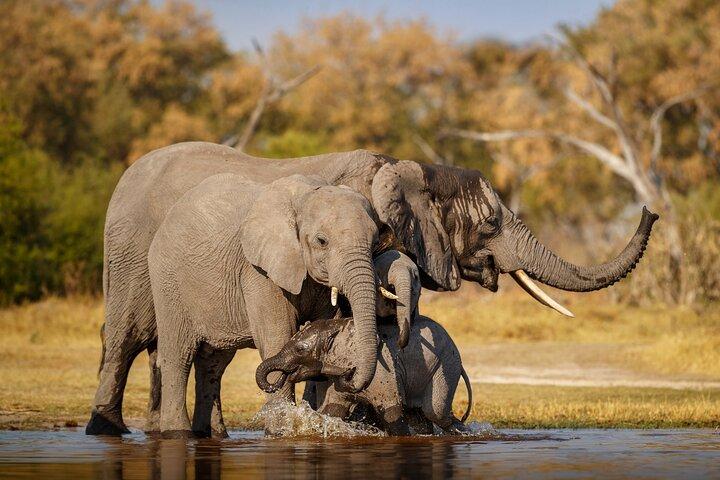 7 Day Classic Kenyan Safari