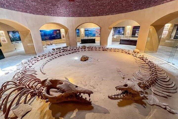 Fayoum Oasis Tour Wadi El Rayan the Valley of the Whales safari