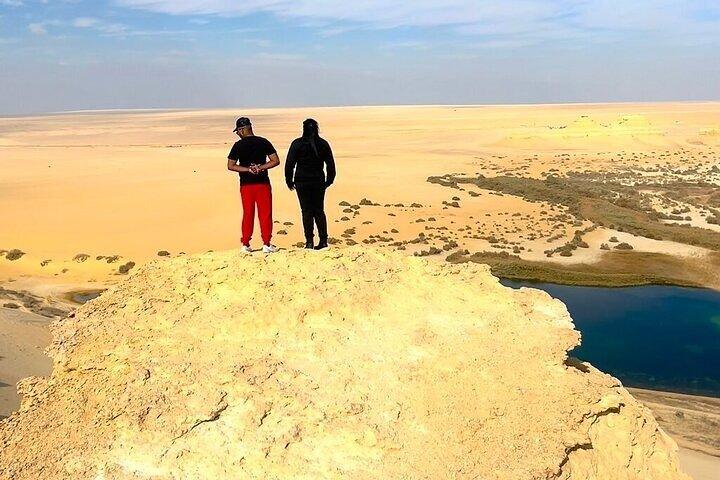 Fayoum Oasis Tour Wadi El Rayan the Valley of the Whales safari