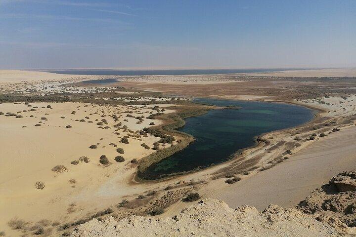 Fayoum Oasis Tour Wadi El Rayan the Valley of the Whales safari