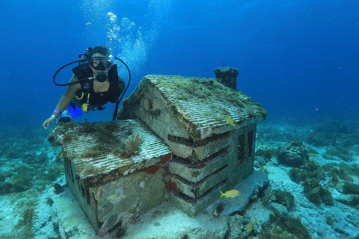 Two Tanks Scuba Diving for Beginners in Cancun