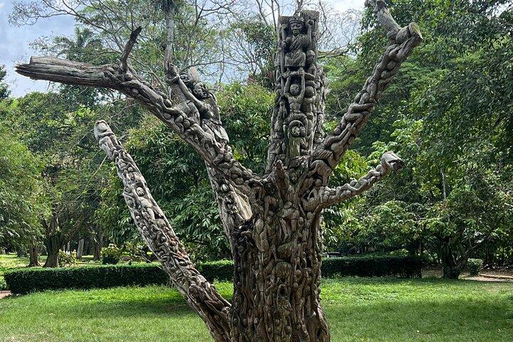 Falls Umbrella Rock Aburi Gardens and Cocoa Farm Day Tour