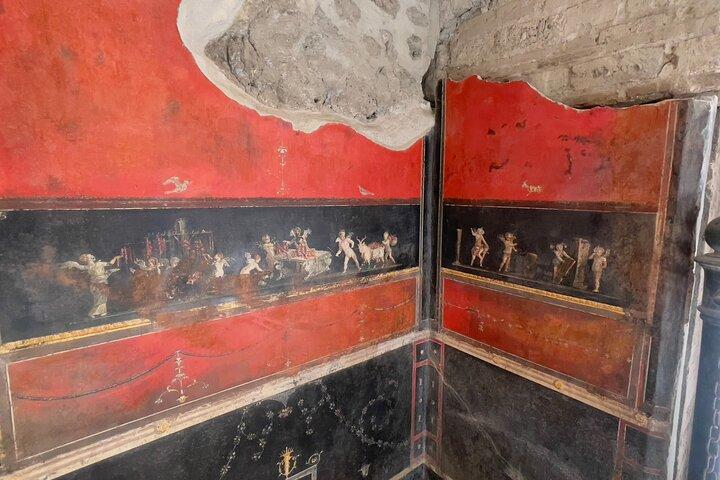 Pompeii Small Group Guided Tour from Salerno Port