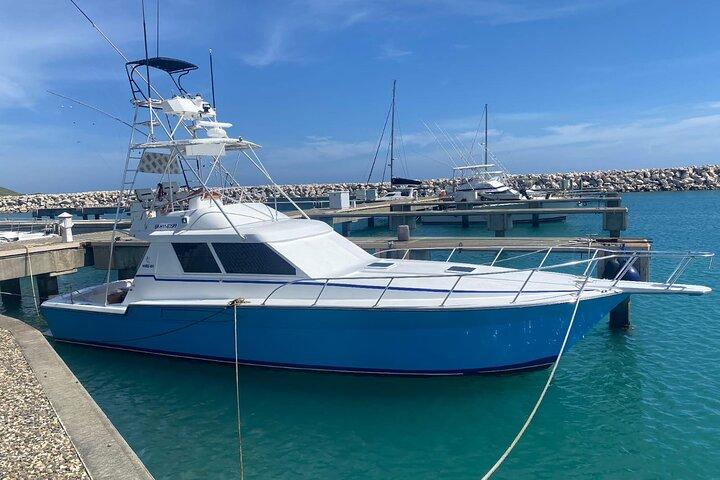 Private Deep Sea Fishing Adventure in Puerto Plata