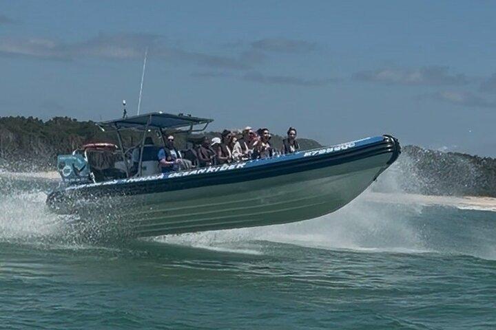 Noosa ocean adventure & Dolphin safari.