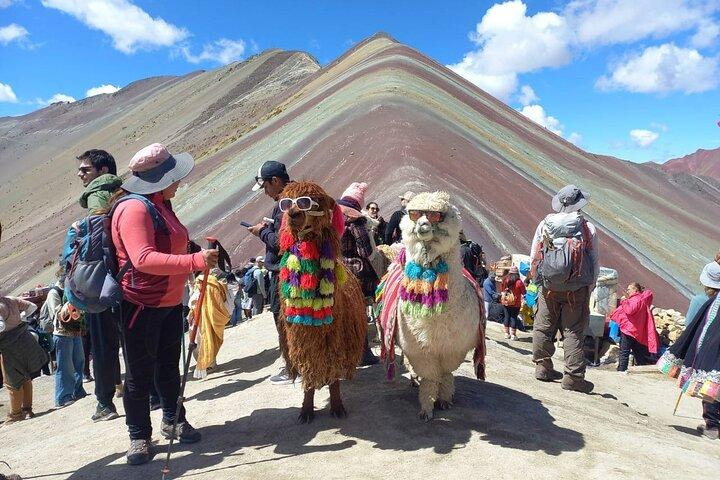 Montaña de 7 Colores Day Tour with Buffet Lunch