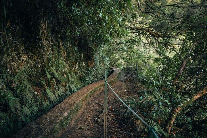 PR9 Caldeirão Verde Queimadas Levada Self-Guided Hiking Transfer