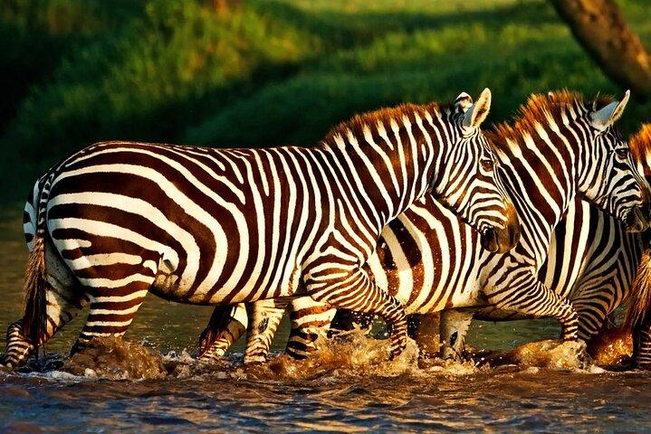 Half Day Tour To Lake Nakuru National Park From Nakuru