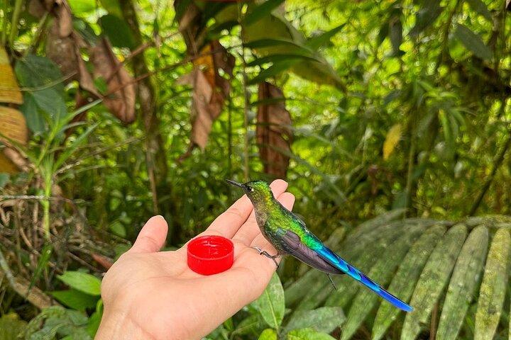 Mindo Cloud Forest & Middle of the World Tour from Quito