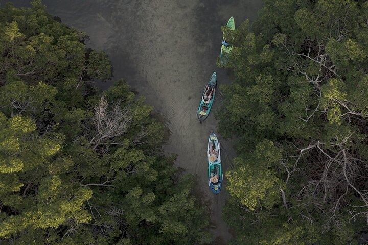 Lido Key Pedal Kayak Tour in Sarasota