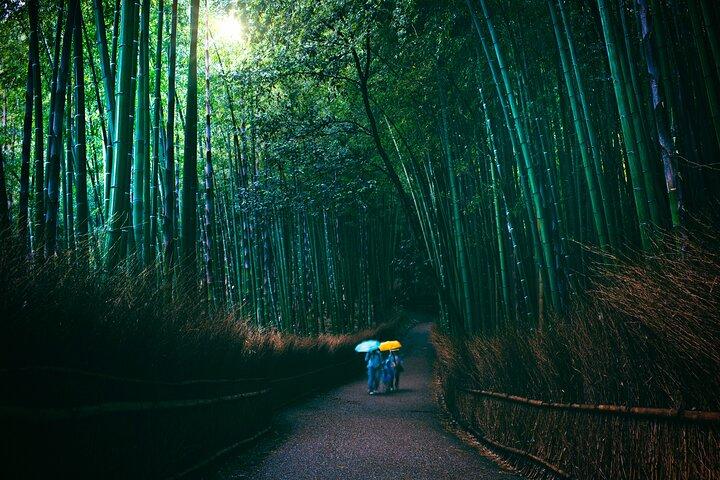 Private Kyoto and Nara Cultural Tour- English Speaking Driver