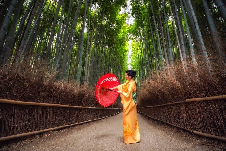 Private Kyoto and Nara Cultural Tour- English Speaking Driver