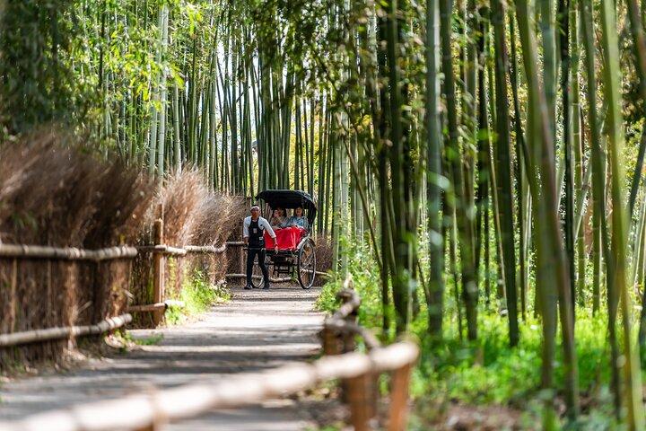 Private Kyoto and Nara Cultural Tour- English Speaking Driver