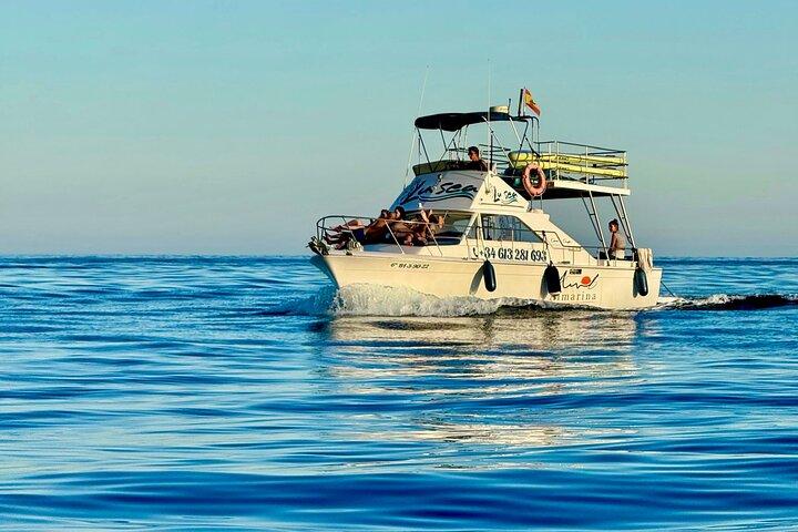 Dolphin Watching in Benalmadena