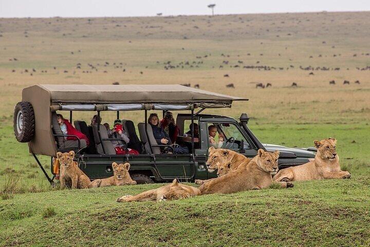 2-Day Private Maasai Mara Safari
