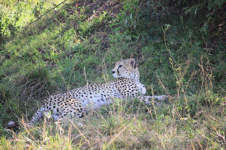 5Days Magical Wildlife Adventure