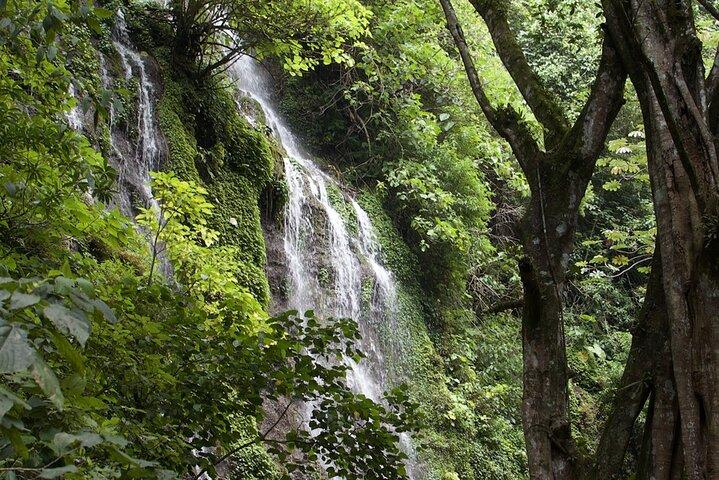 Best Juayua 7 Waterfalls Hiking Tour + 4x4 Ride | Ruta de Flores