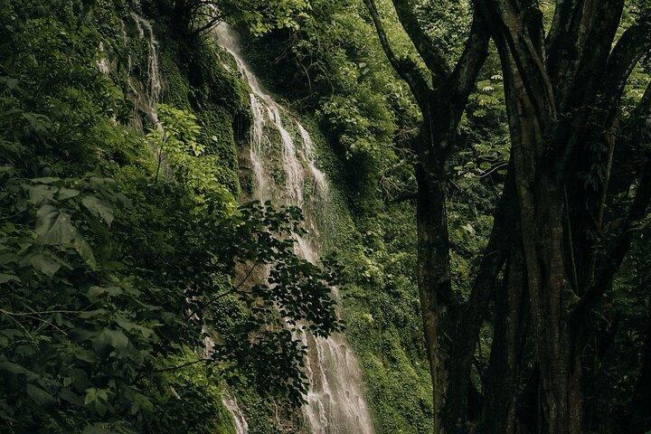 Best Juayua 7 Waterfalls Hiking Tour + 4x4 Ride | Ruta de Flores