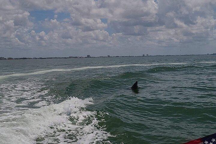 Private Day Cruise: Explore Cape Coral, Sanibel and Fort Myers