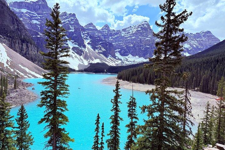 Lake Louise Moraine Lake Day Trip from Banff Calgary Canmore
