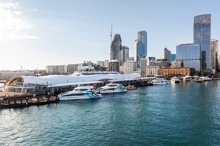 Auckland Harbour Cruise