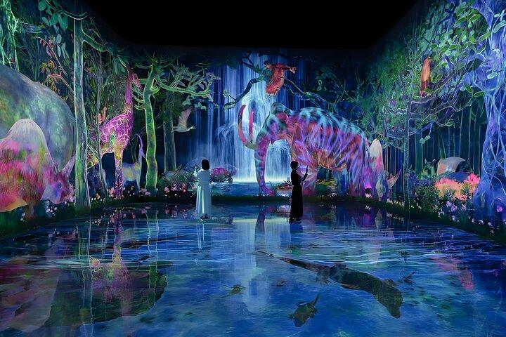 Tokyo TeamLab Planets Admission & 24-Hour Subway Ticket