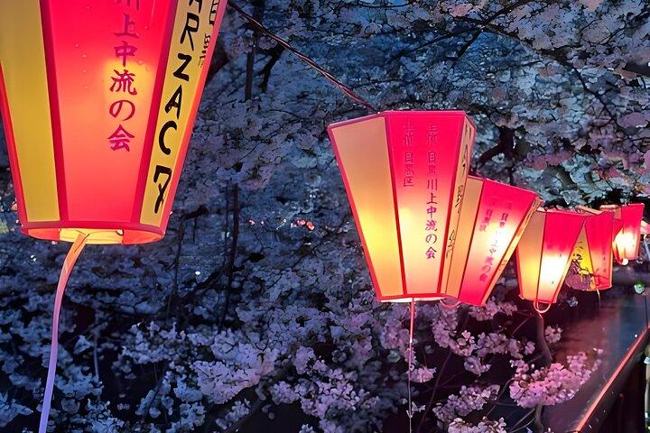 Tokyo TeamLab Planets Admission & 24-Hour Subway Ticket