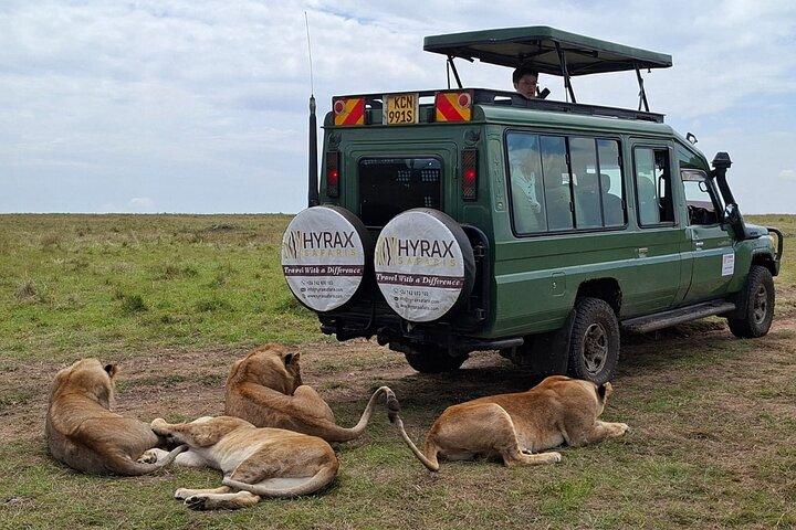 Three Days Maasai Mara Private Budget Safari