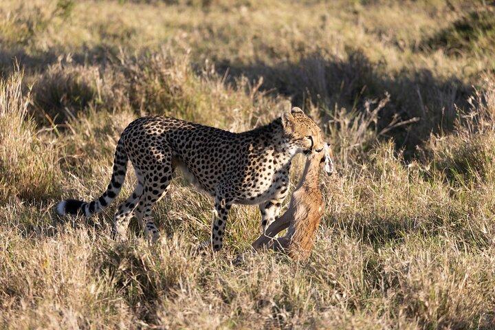 Private Nairobi National Park Wildlife Day Safari