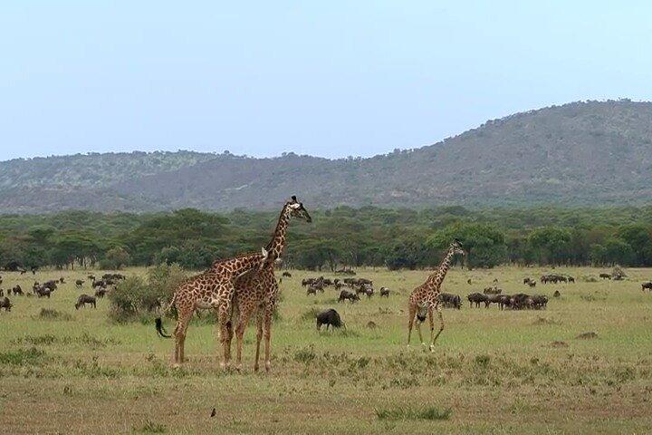 6 Days Private Tour of Nairobi