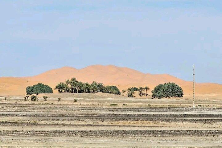 Four-Day Moroccan Desert Adventure from Marrakech