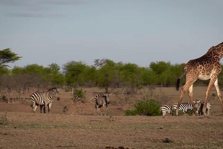6 Days Private Tour of Nairobi