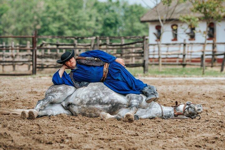 The "Puszta" Horse Show