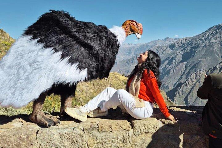 From Arequipa Full Day Tour to Colca Canyon