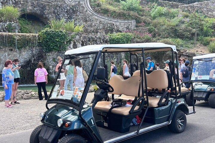 Ancient Roman Fiesole & Florence hills Private Golf Cart Tour