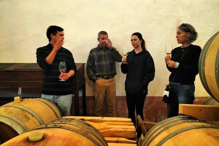 Winery, Tastings & 4x4 Vineyards Tour, Half Day Trip from Lisbon
